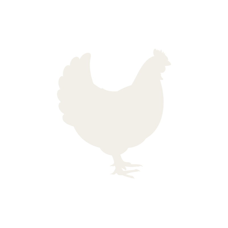 Drób