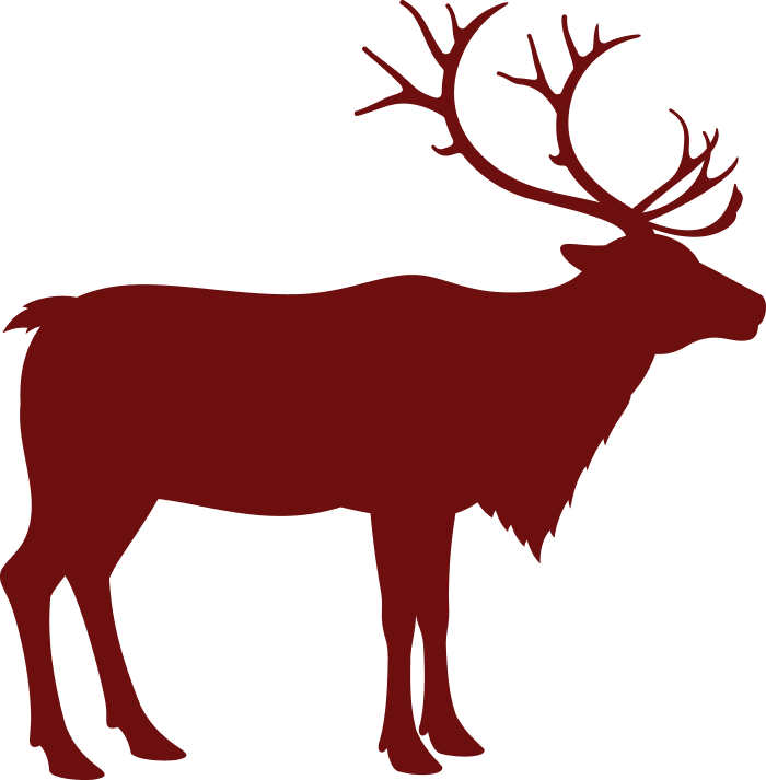 decorative image