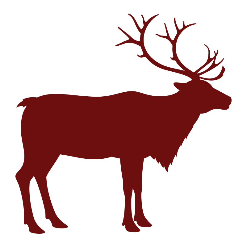 decorative image