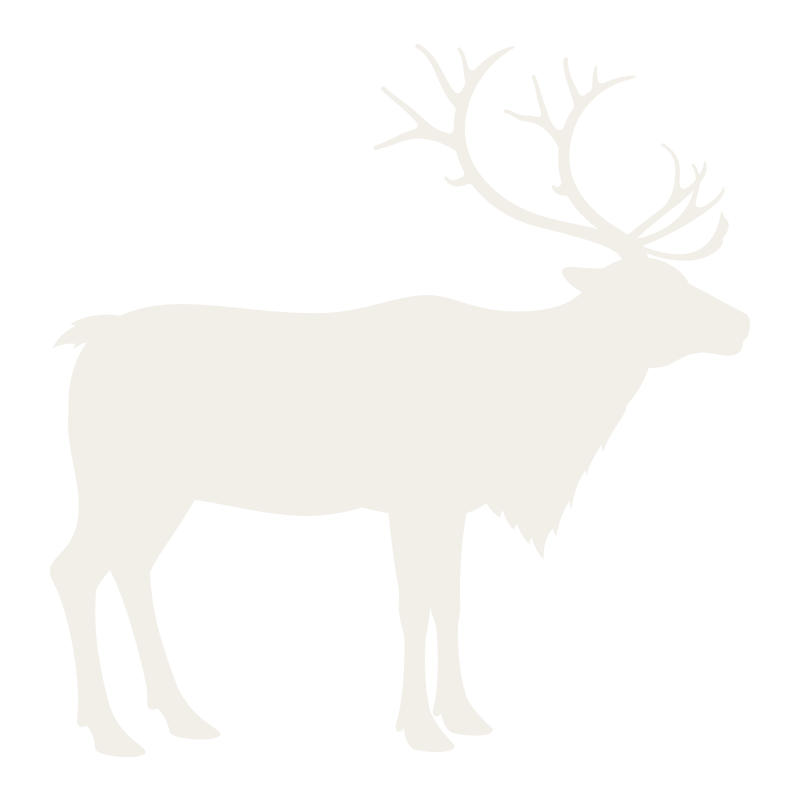 Dziczyzna