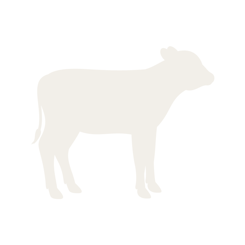 decorative image